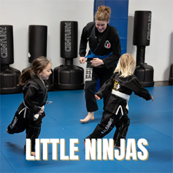 Little Ninjas
